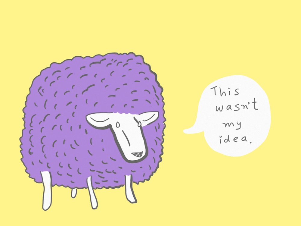 Confuddled sheep.