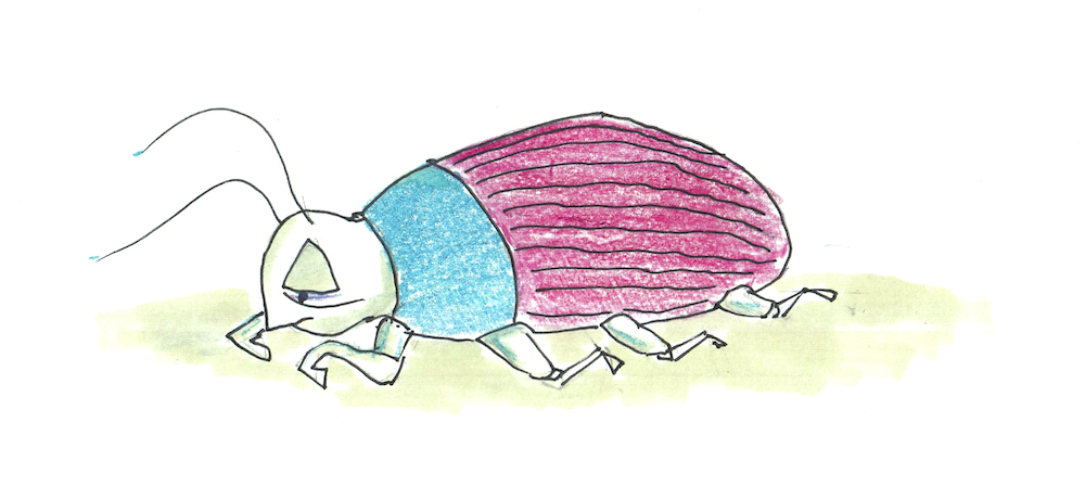 Lazy Beetle