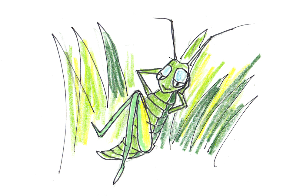 Lazy Grasshopper